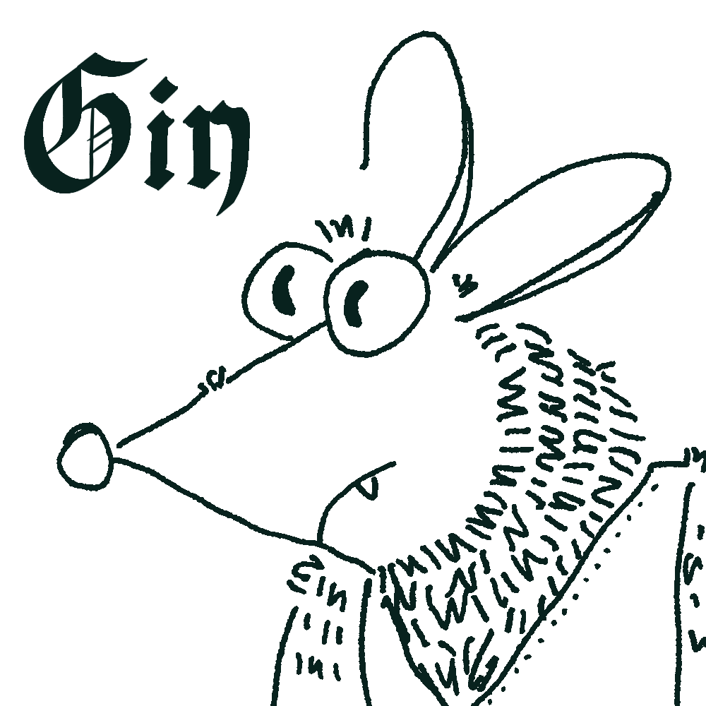 Gin